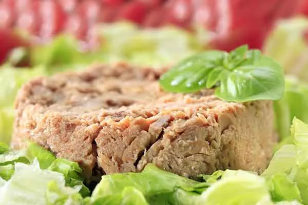 قیمت خرید تن ماهی تن کم کالری با فروش عمده